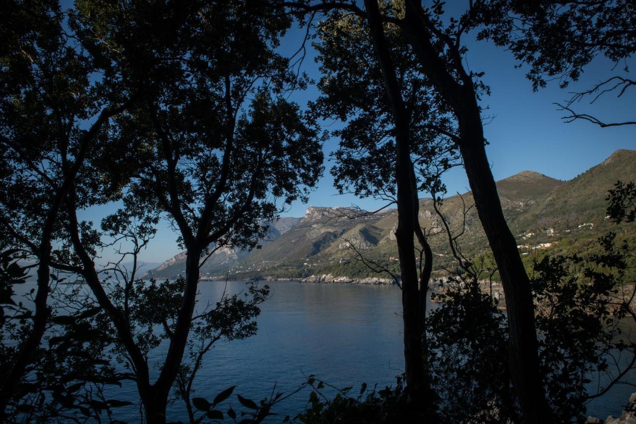 Amaranto Hotel Maratea Bagian luar foto